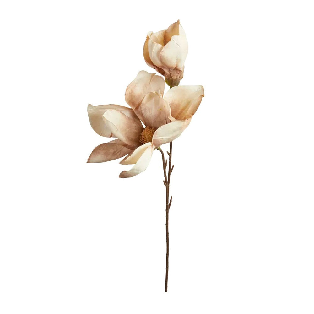 Speedtsberg Magnolia Stilk 50cm Dusty Rose