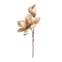 Speedtsberg Magnolia Stilk 50cm Dusty Rose