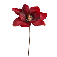 Speedtsberg Magnolia Rød 50cm