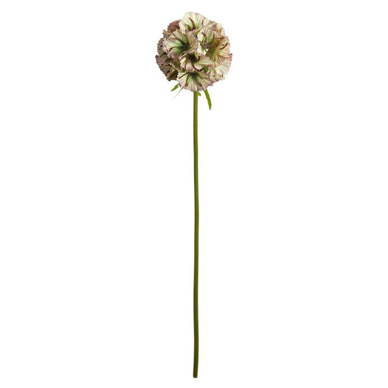 Speedtsberg Nellike Stilk Grøn 55cm Plastik
