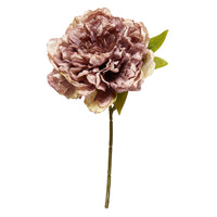 Speedtsberg Pæon Stilk 30cm Dusty Purple