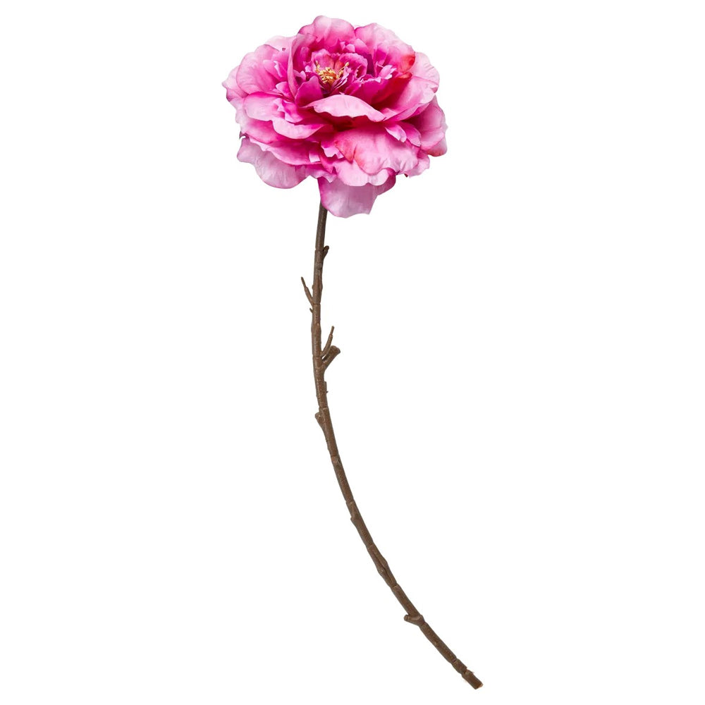 Speedtsberg Pæon Stilk 71cm Pink Plastik