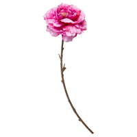 Speedtsberg Pæon Stilk 71cm Pink Plastik