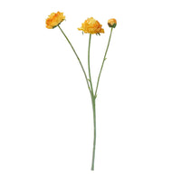 Speedtsberg Ranunkel Stilk 48cm Orange Plastik