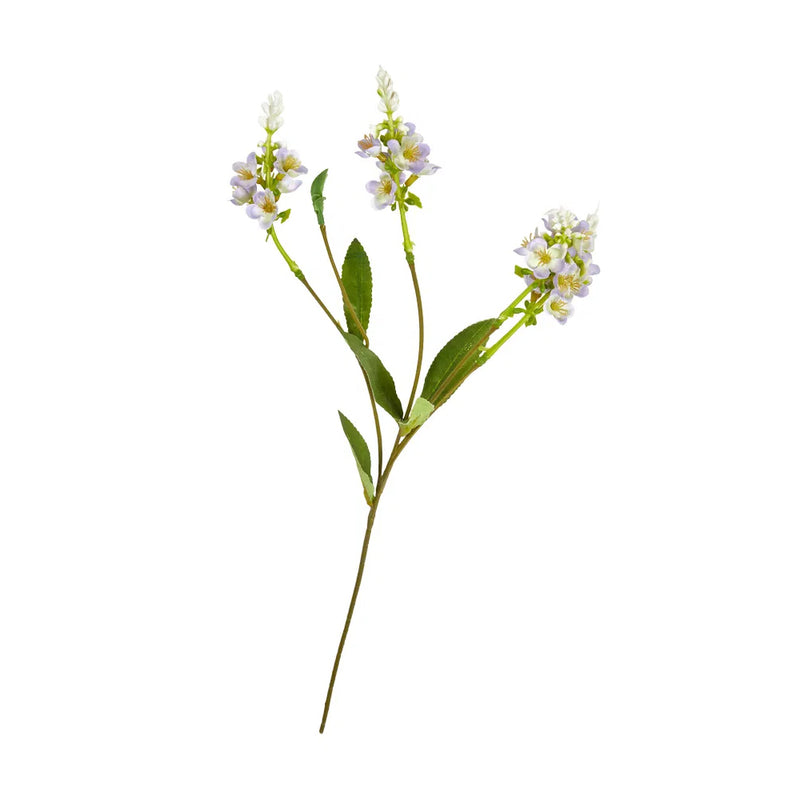 Speedtsberg Ridderspore Stilk 4 Grene 61cm Purple