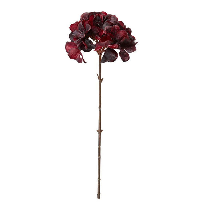 Speedtsberg Hortensia Rød 52cm
