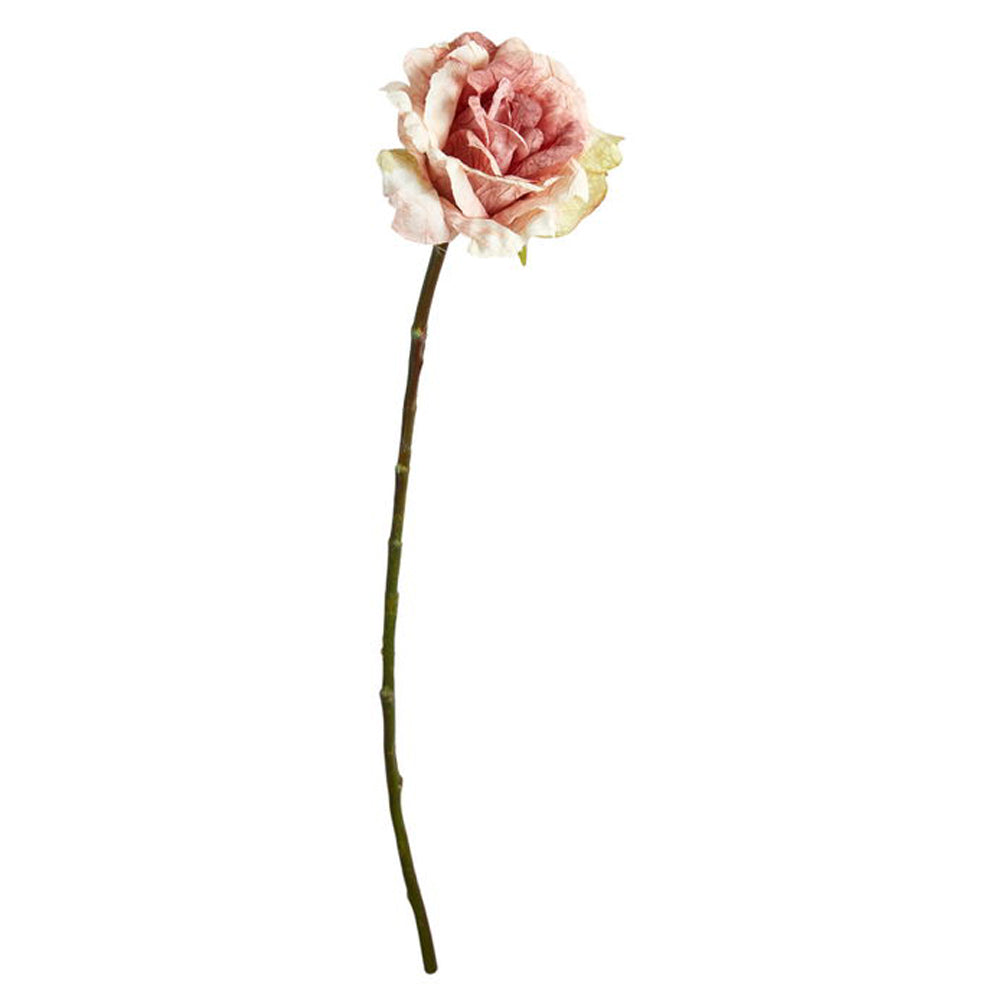 Speedtsberg Rose Stilk 66cm Rose Plastik