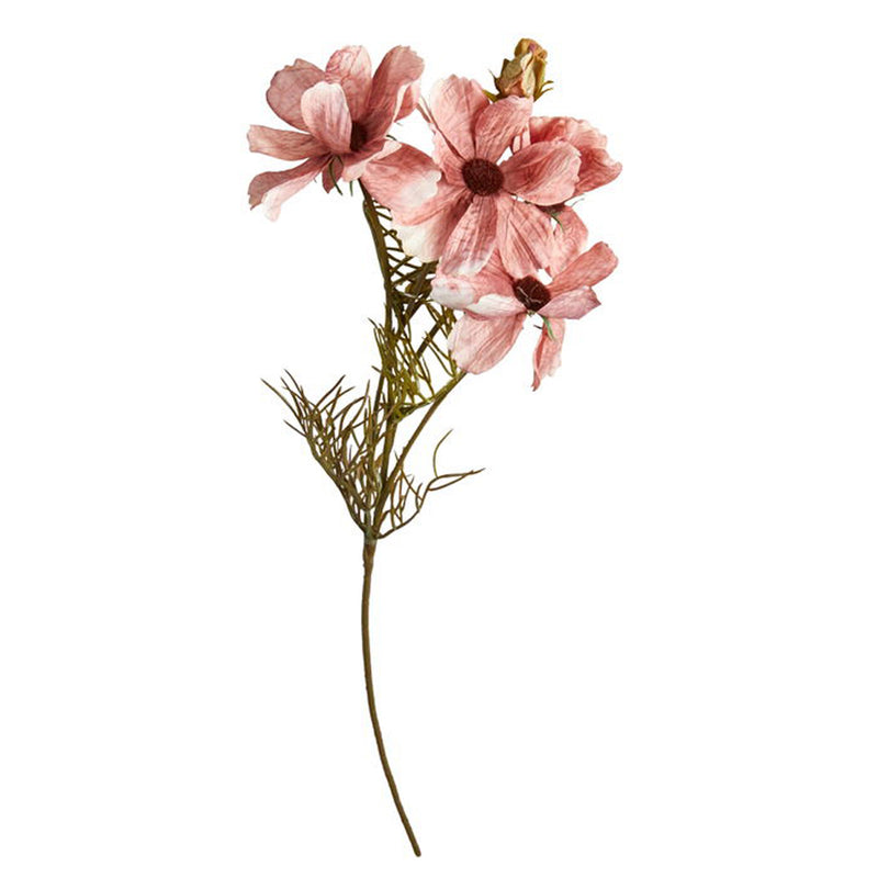 Speedtsberg Stolt Kavaler Stilk 50cm Rose Plastik