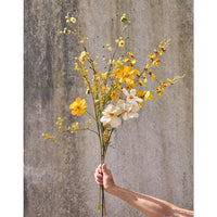 Speedtsberg Stolt Kavaler Stilk 62cm Hvid