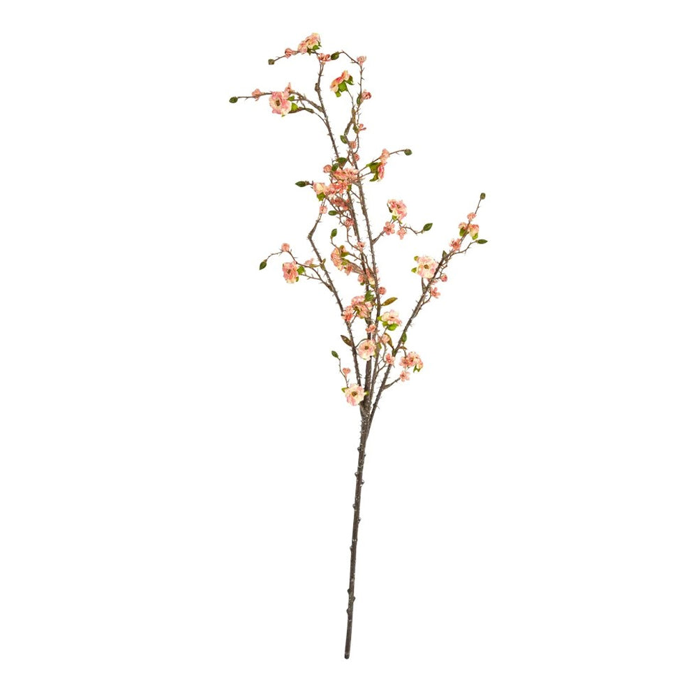 Speedtsberg Terose Gren 108cm Pink