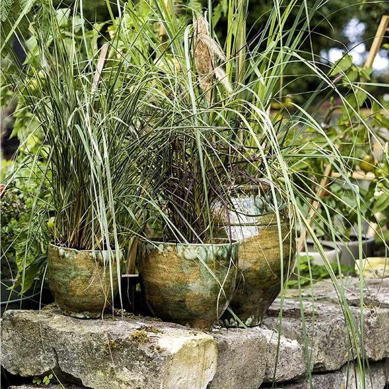 Bungalow Flower Pot Vital Seaweed