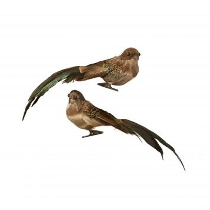 Fugl på klips brun og grøn - Fugle på klips