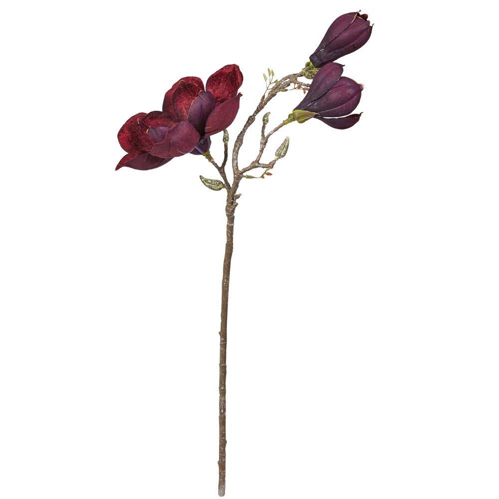 Magnolia gren Aubergine H70cm - Kunstige Blomster