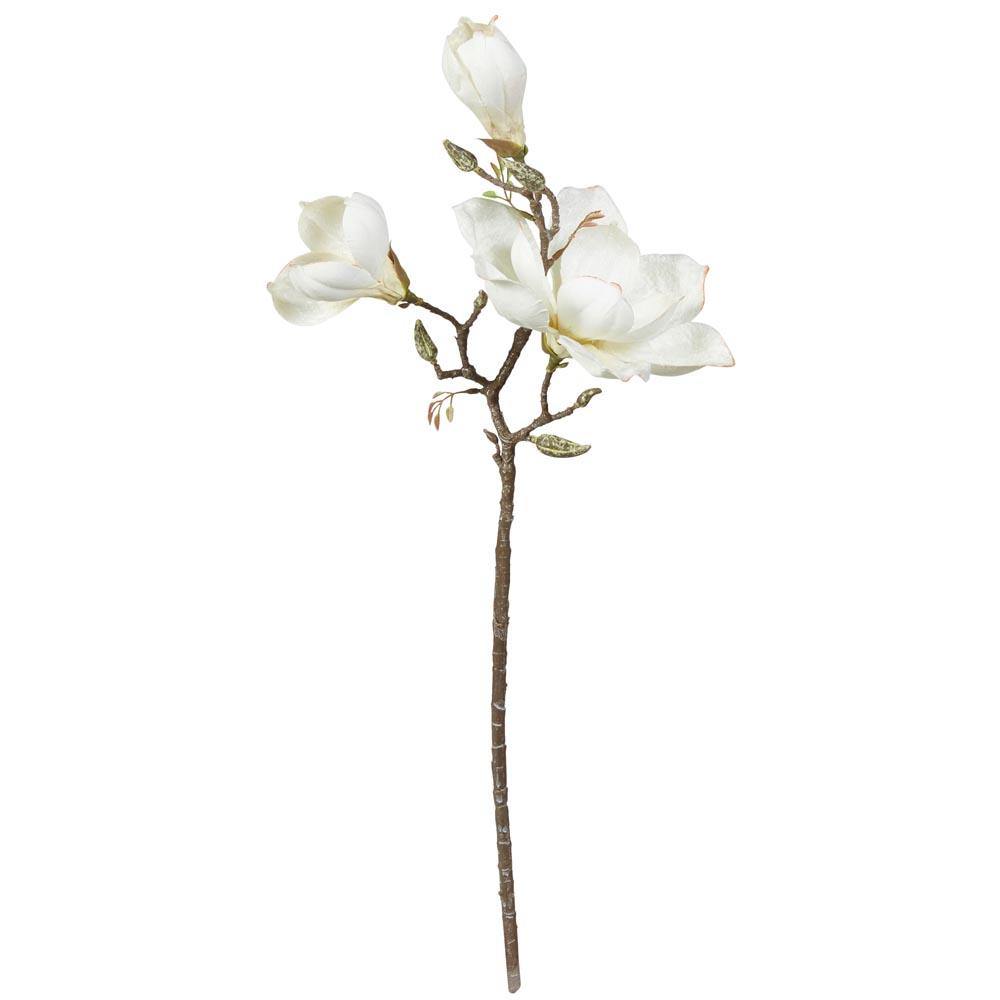 Magnolie gren hvid H70cm - Kunstige Blomster