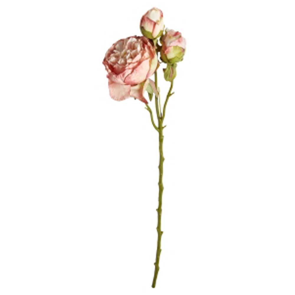 Speedtsberg Pæon med 3 Knop Plastik Rose 65cm